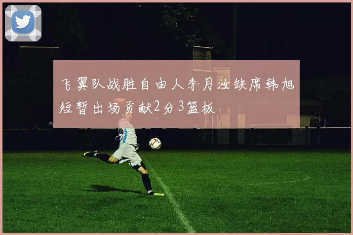 飞翼队战胜自由人李月汝缺席韩旭短暂出场贡献2分3篮板